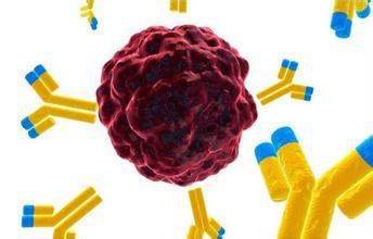 Biosynex�[����(bi��o)ӛ����ٙz�y(c��)ԇ���У��z�w�𷨣�